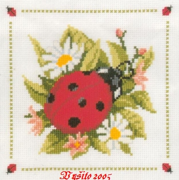 Vervaco-Ladybird