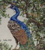 Teresa Wentzler /  Peacock Tapestry
